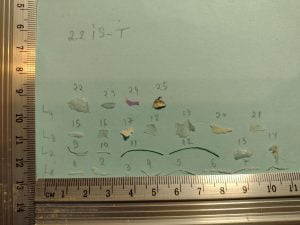 Figura 2.19 TIs2.2 (MaPs)